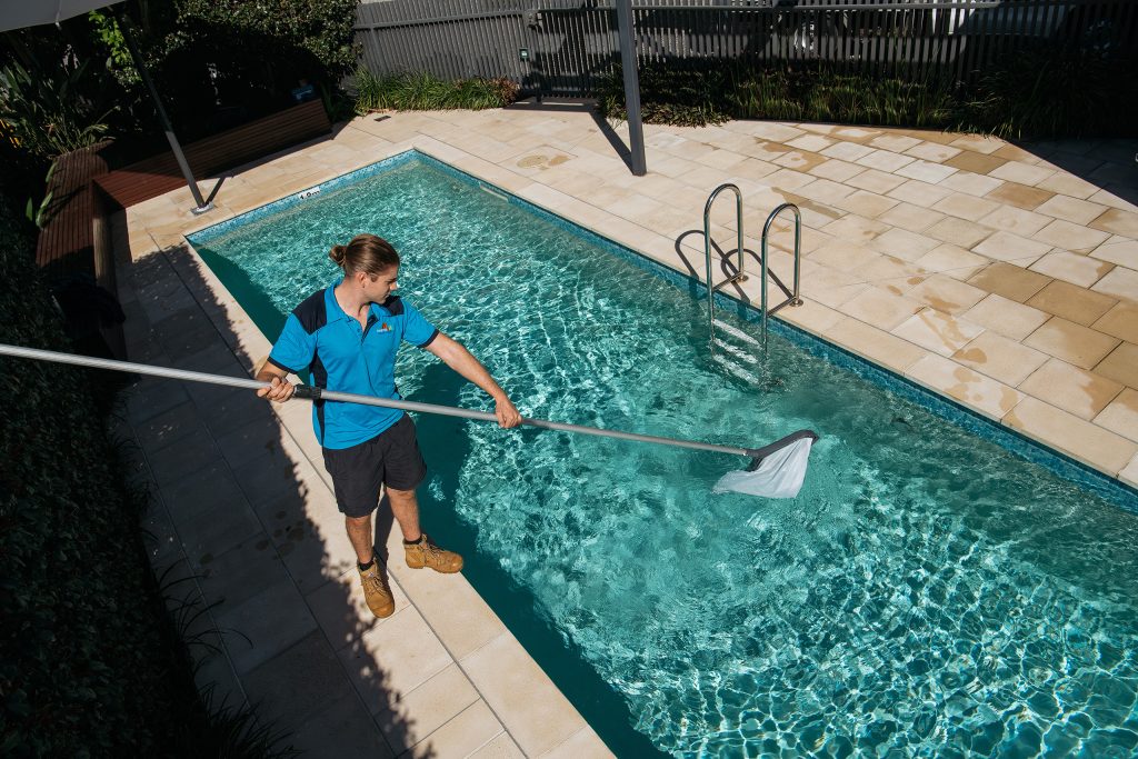 Green (Algae) pool clean-up